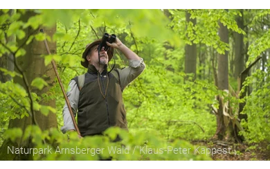 Ranger Oliver Szodruch im Laubwald