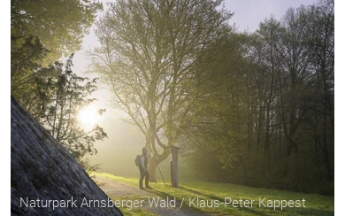 Ranger in der Morgendämmerung auf der Waldroute am Hohlen Stein