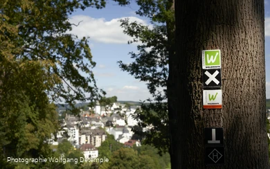 Wandern um Arnsberg Fotograf. W. Detemple klein.jpg